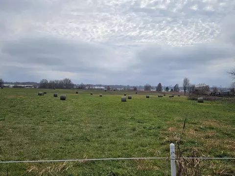 000 Red Springs Rd, Mountain Grove, MO 65711