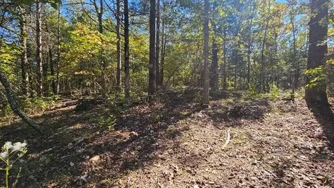 000 Rolling Hills Block 11 #LOT 22, Theodosia, MO 65761