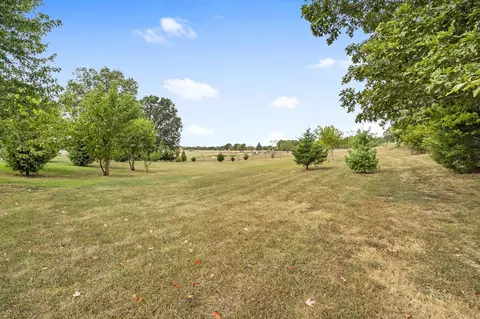 107 Lemming Rd, Sparta, MO 65753 photo 41