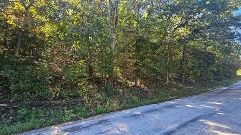 000 Eastwood Hills Block 6 #LOT 2, Theodosia, MO 65761
