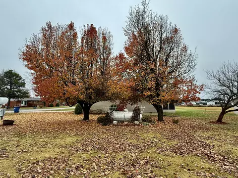 110 Chad St, Licking, MO 65542 photo 19