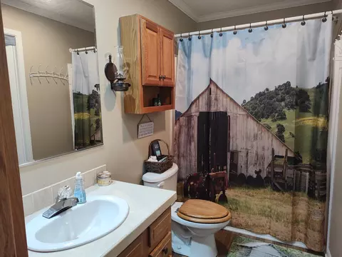 Bath - 1672 E 355th Rd, Bolivar, MO 65613 photo 5 of 8