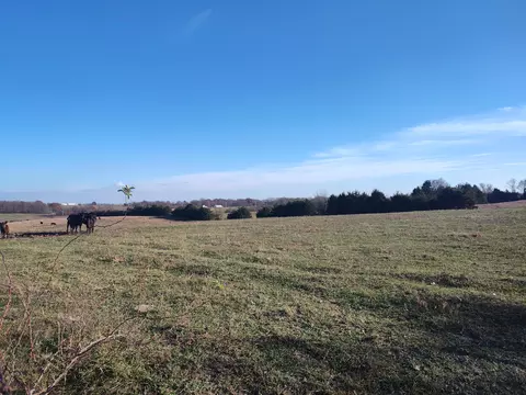 Other - 1672 E 355th Rd, Bolivar, MO 65613 photo 22 of 29