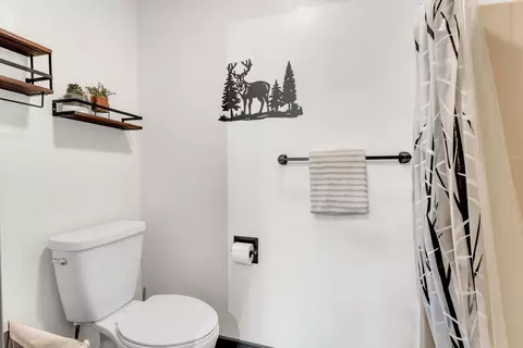 2 Cabin Ct #3, Branson, MO 65616 photo 17
