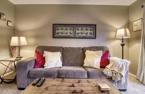 Living - 40 Scenic Ct #1, Branson, MO 65616 photo 3 of 3