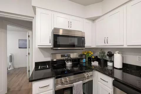 Kitchen - 403 Veterans Blvd #C-3, Branson, MO 65616 photo 4 of 4