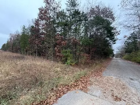 123 Lots Turkey Mountain Ests, Shell Knob, MO 65747 photo 11