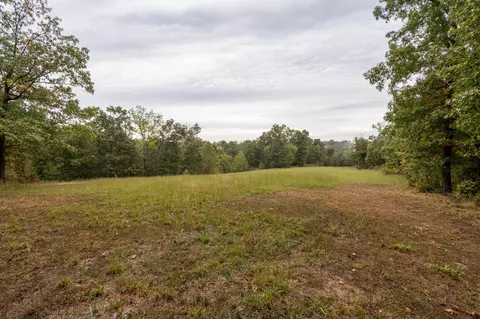 Exterior - 2421 Morrison Loop, Anderson, MO 64831 photo 7 of 11