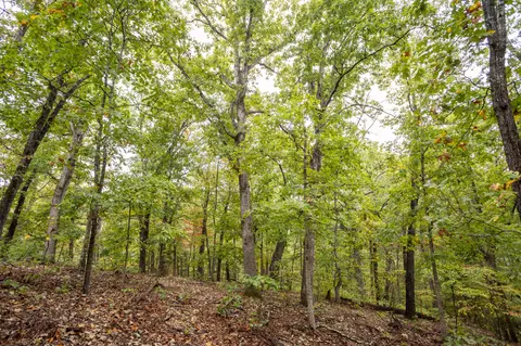 Other - 2421 Morrison Loop, Anderson, MO 64831 photo 28 of 30