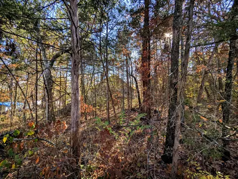 lot69 70 Bluebird Rd, Merriam Woods, MO 65740