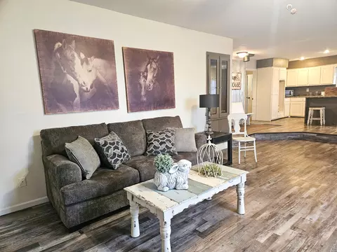 Living - 21371 Howell Rd, Mountain View, MO 65548 photo 3 of 4