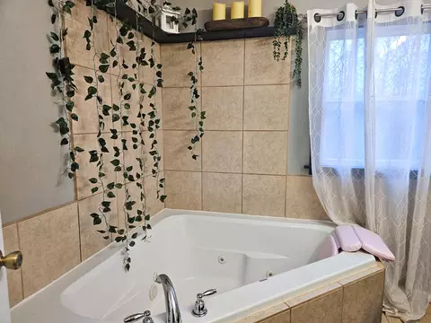 Bath - 21371 Howell Rd, Mountain View, MO 65548 photo 2 of 2