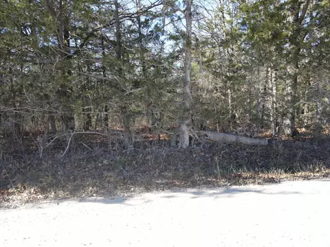 000 SE 951 Rd, Collins, MO 64738 photo 7