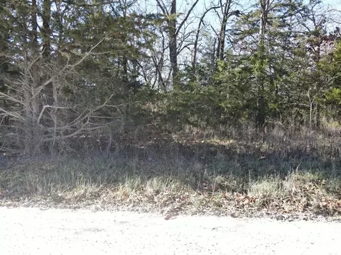 000 SE 951 Rd, Collins, MO 64738 photo 5