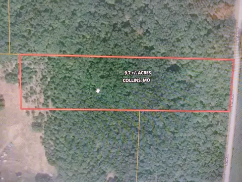 000 SE 951 Rd, Collins, MO 64738 photo 25