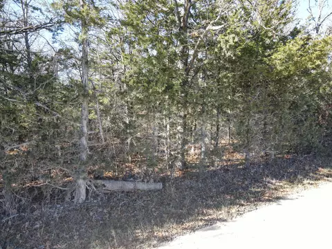 000 SE 951 Rd, Collins, MO 64738 photo 6