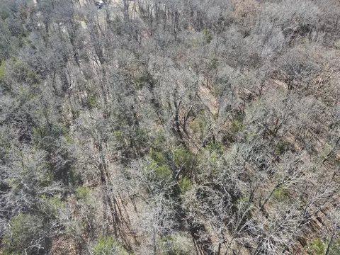 000 SE 951 Rd, Collins, MO 64738 photo 11