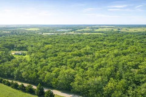000 SE 951 Rd, Collins, MO 64738 photo 4