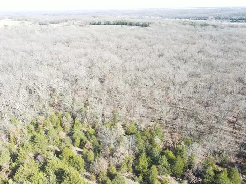 000 SE 951 Rd, Collins, MO 64738 photo 20