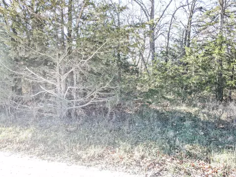 000 SE 951 Rd, Collins, MO 64738 photo 8
