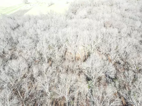 000 SE 951 Rd, Collins, MO 64738 photo 22