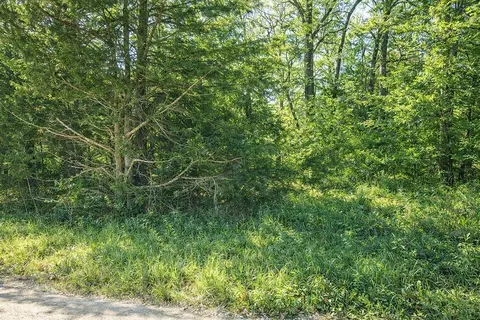 000 SE 951 Rd, Collins, MO 64738 photo 2