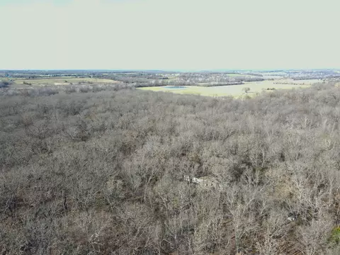 000 SE 951 Rd, Collins, MO 64738 photo 14