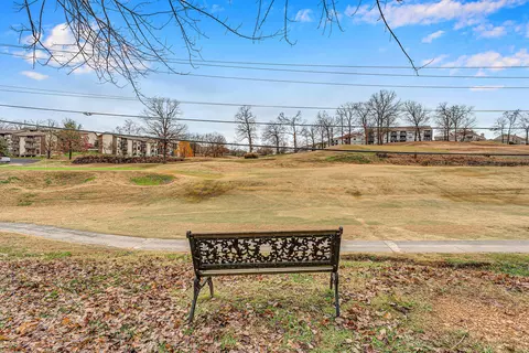 Other - 264 Turnberry Dr #2, Branson, MO 65616 photo 8 of 9