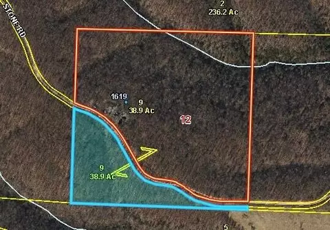 8 Ac Stone Rd, Noel, MO 64854