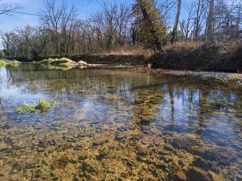 View/Area - 305 Thomas St, Birch Tree, MO 65438 photo 6 of 11
