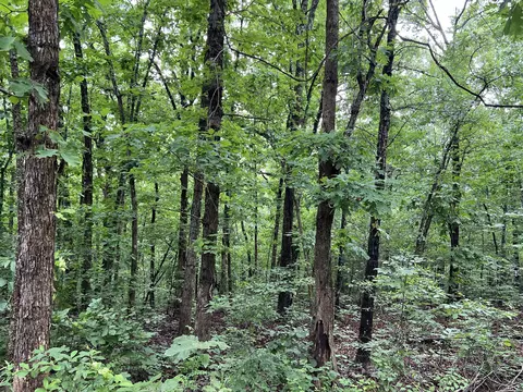 000 Highway 63 S, Mammoth Spring, AR 72554