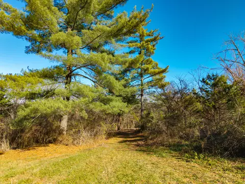 lot E Malberg Rd, Cabool, MO 65689 photo 12