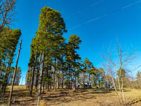 lot E Malberg Rd, Cabool, MO 65689 photo 8