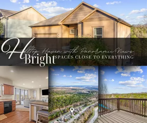 113 Jury Ln, Branson, MO 65616