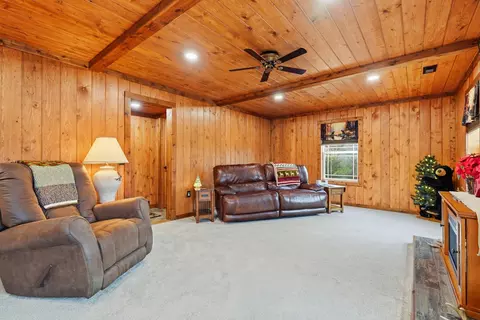 Living - 126 Dragonfly Ln, Branson, MO 65616 photo 6 of 7