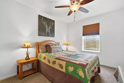 Bedroom - 126 Dragonfly Ln, Branson, MO 65616 photo 6 of 10