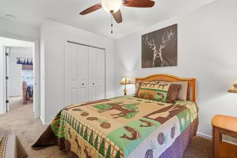 Bedroom - 126 Dragonfly Ln, Branson, MO 65616 photo 7 of 10