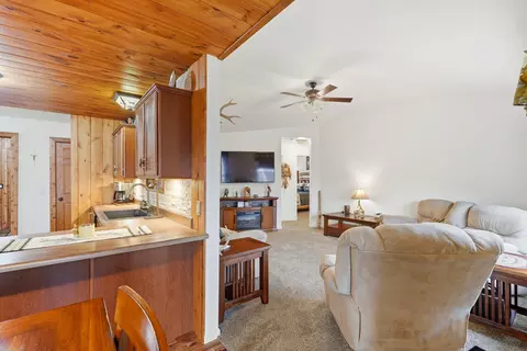 Living - 126 Dragonfly Ln, Branson, MO 65616 photo 4 of 7