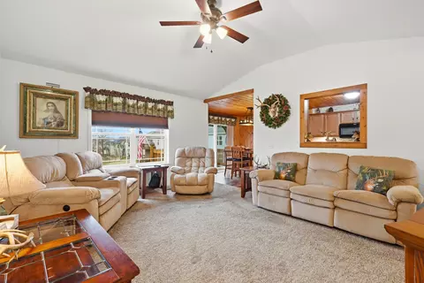 Living - 126 Dragonfly Ln, Branson, MO 65616 photo 3 of 7