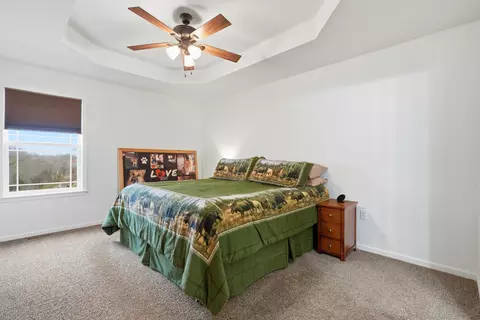 Bedroom - 126 Dragonfly Ln, Branson, MO 65616 photo 1 of 10