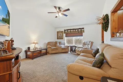 Living - 126 Dragonfly Ln, Branson, MO 65616 photo 1 of 7