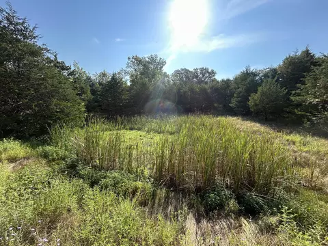 Other - 14442 State Highway Af, Ava, MO 65608 photo 13 of 32