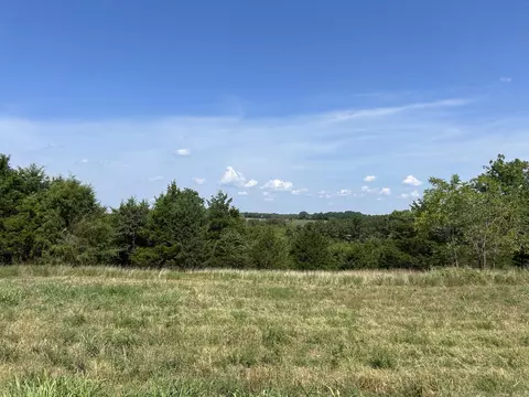 View/Area - 14442 State Highway Af, Ava, MO 65608 photo 1 of 2
