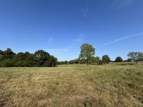 Other - 14442 State Highway Af, Ava, MO 65608 photo 20 of 32