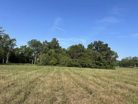 Other - 14442 State Highway Af, Ava, MO 65608 photo 18 of 32