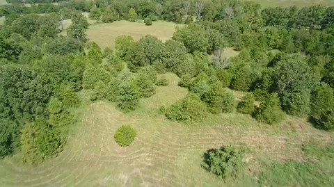 Other - 14442 State Highway Af, Ava, MO 65608 photo 28 of 32