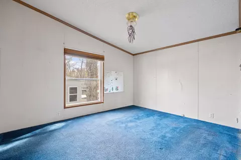 283 Cedar Ln, Rockaway Beach, MO 65740 photo 40