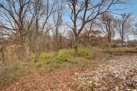 1603 W Daniels St, Ozark, MO 65721 photo 26