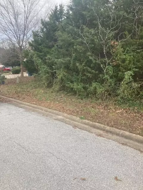 181 Cedarwood Ave, Branson, MO 65616 photo 8