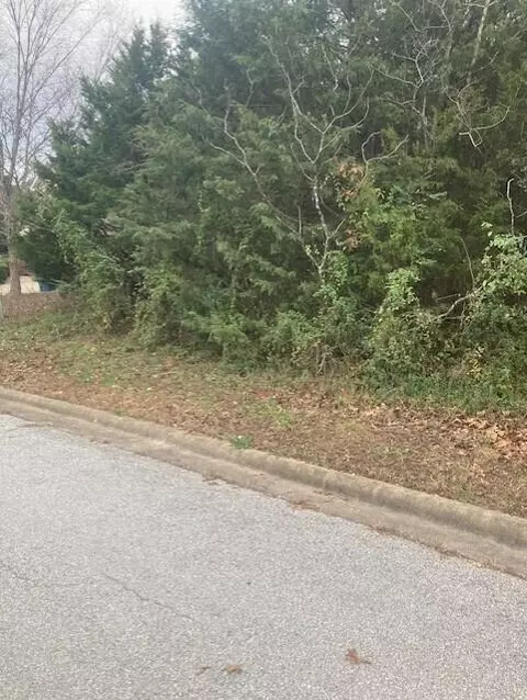 181 Cedarwood Ave, Branson, MO 65616 photo 5